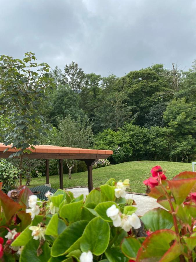 2 Apartamentos En Villa Con Piscina Privada En Asturias El Marquesau Noriega Exteriör bild